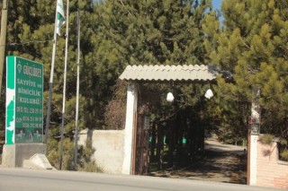 Güçlübey At Çiftliği