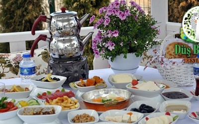 düşbahçesi